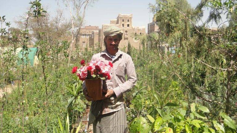 مشتل ربيع درغام في صنعاء