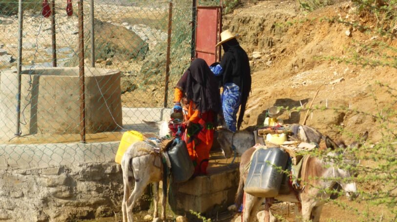 العمل الإنساني في اليمن.. حضور نسائي رغم المعوقات!