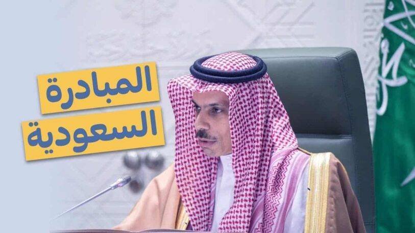 فيديو | هل تنجح المبادرة السعودية في تحقيق السلام؟