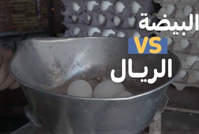 فيديو | البيضة VS الريال