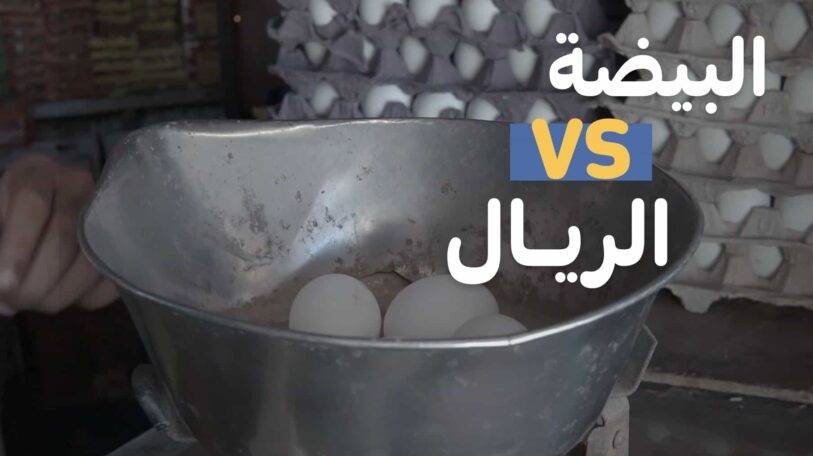 فيديو | البيضة VS الريال