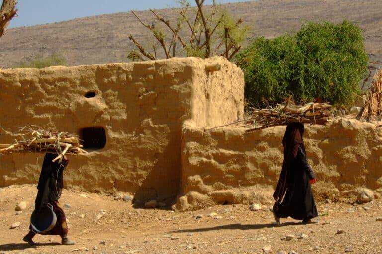 اليمن المرأة الاحتطاب البيئة