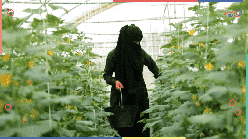 “أحلام”.. تُترجم إلى واقع!