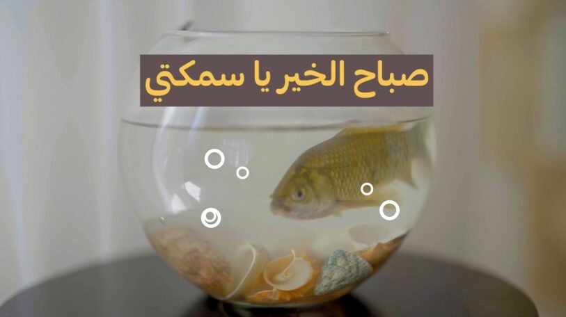 فيديو | تبحث «نور» عن مستمع يُصغي لأحلامها الكبيرة